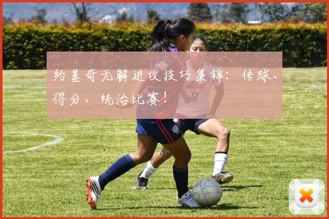 约基奇无解进攻技巧集锦：传球、得分、统治比赛！